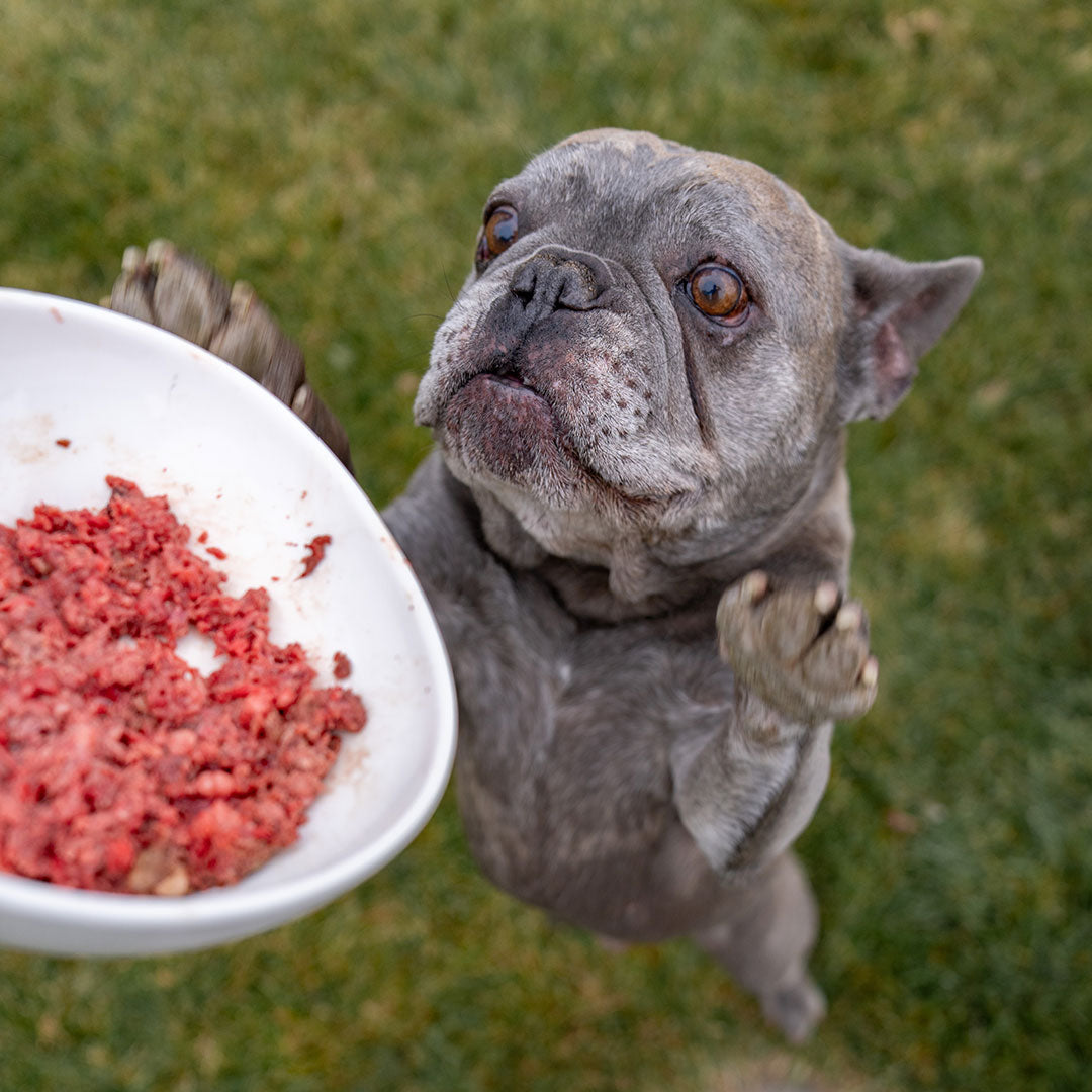 Central Oregon Raw Dog Food from Keystone Natural Beef