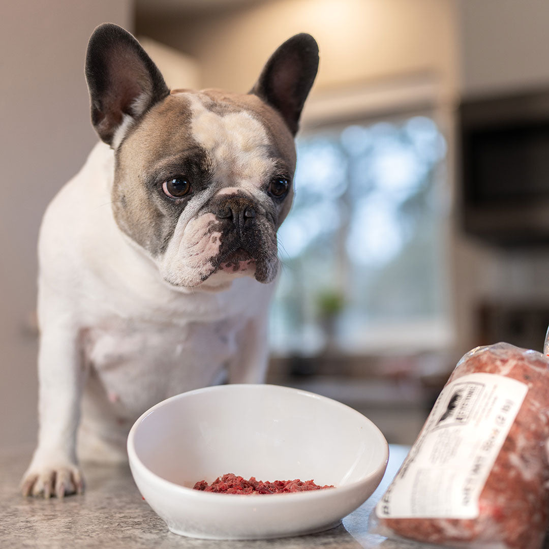 Central Oregon Raw Pet Food from Keystone Natural Beef